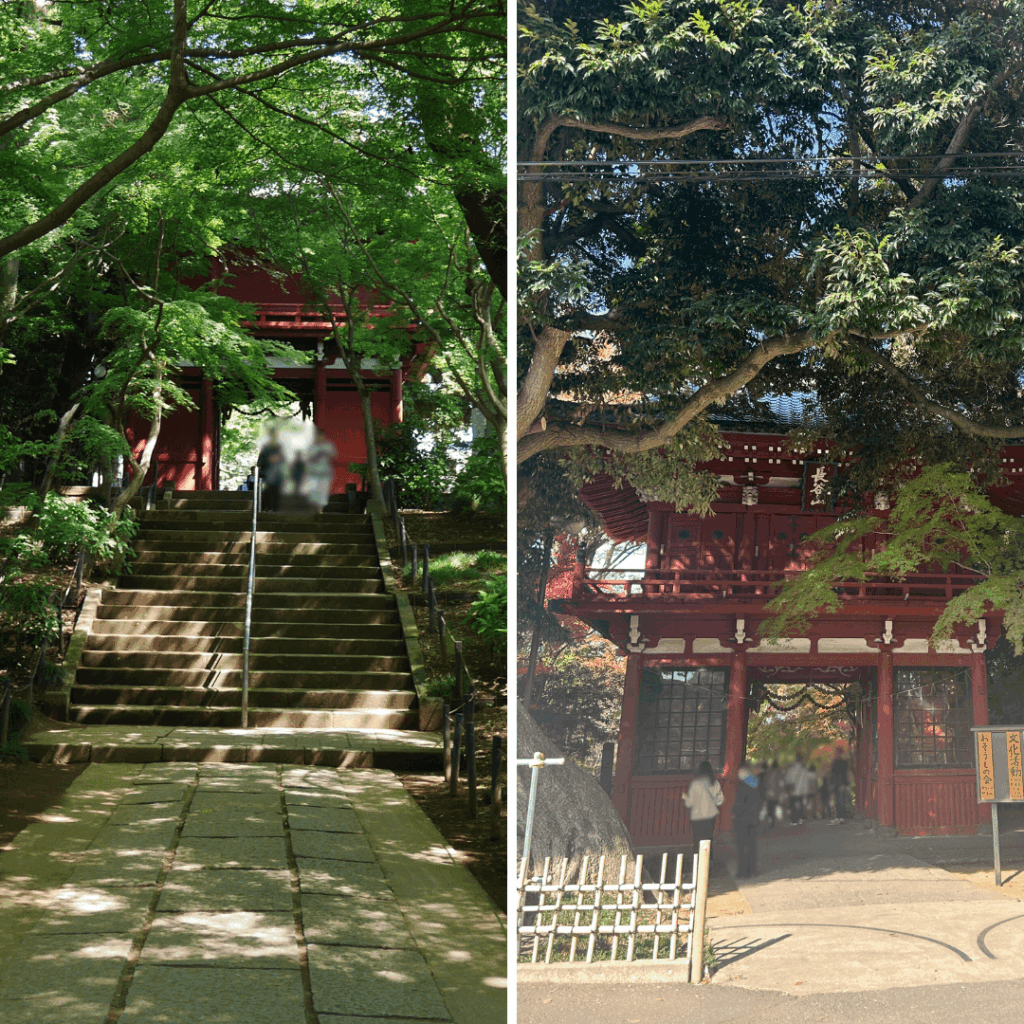 本土寺の山門(6月中旬)