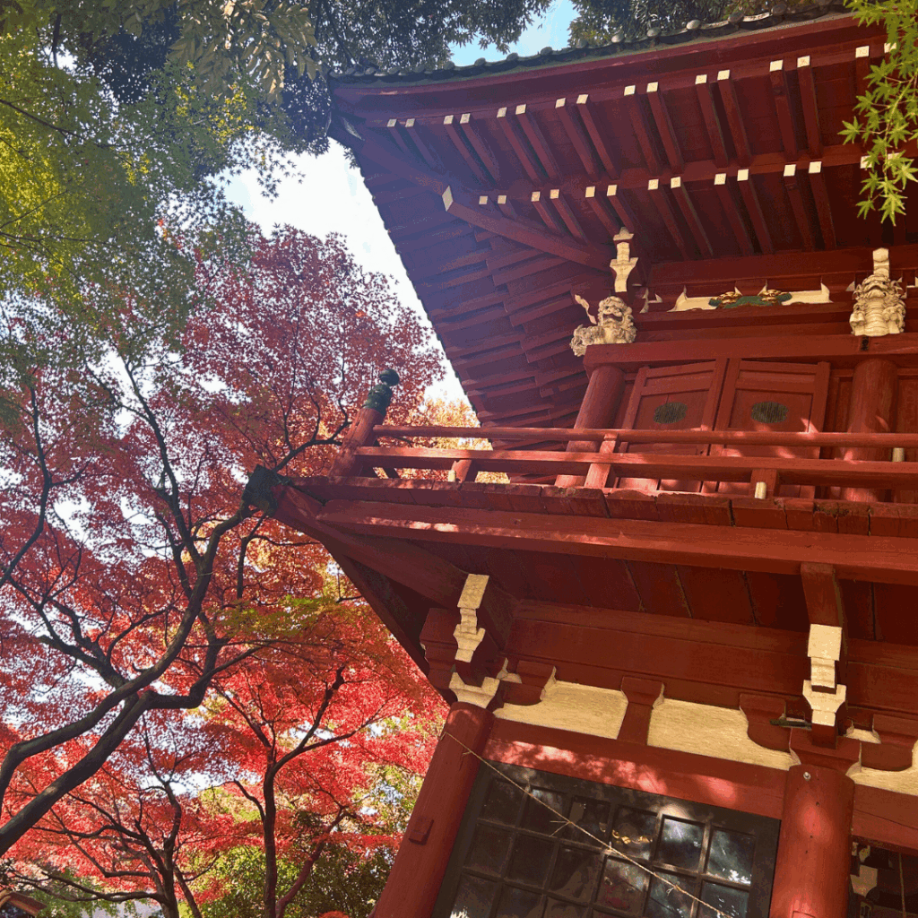 本土寺の山門と紅葉