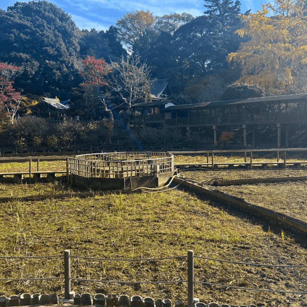 菖蒲池(11月下旬)