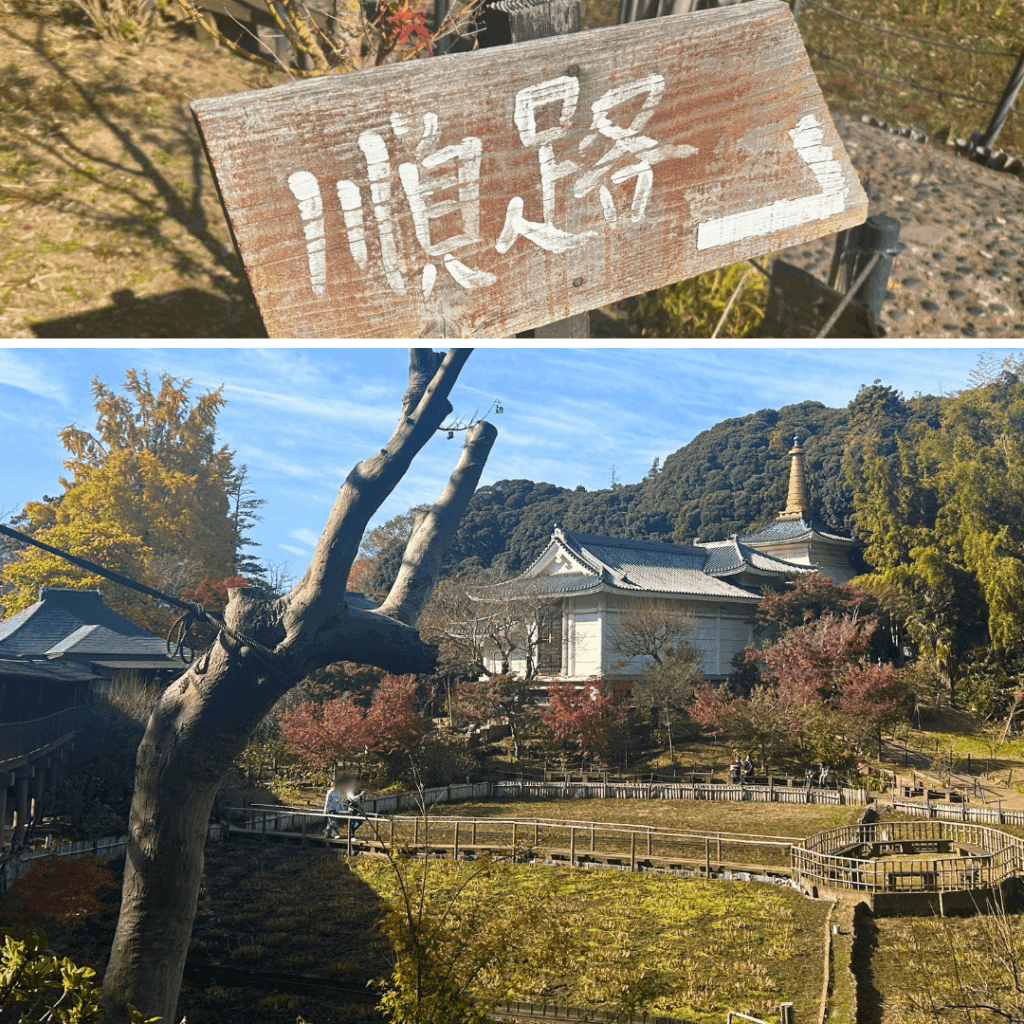 整備された歩道と宝物殿