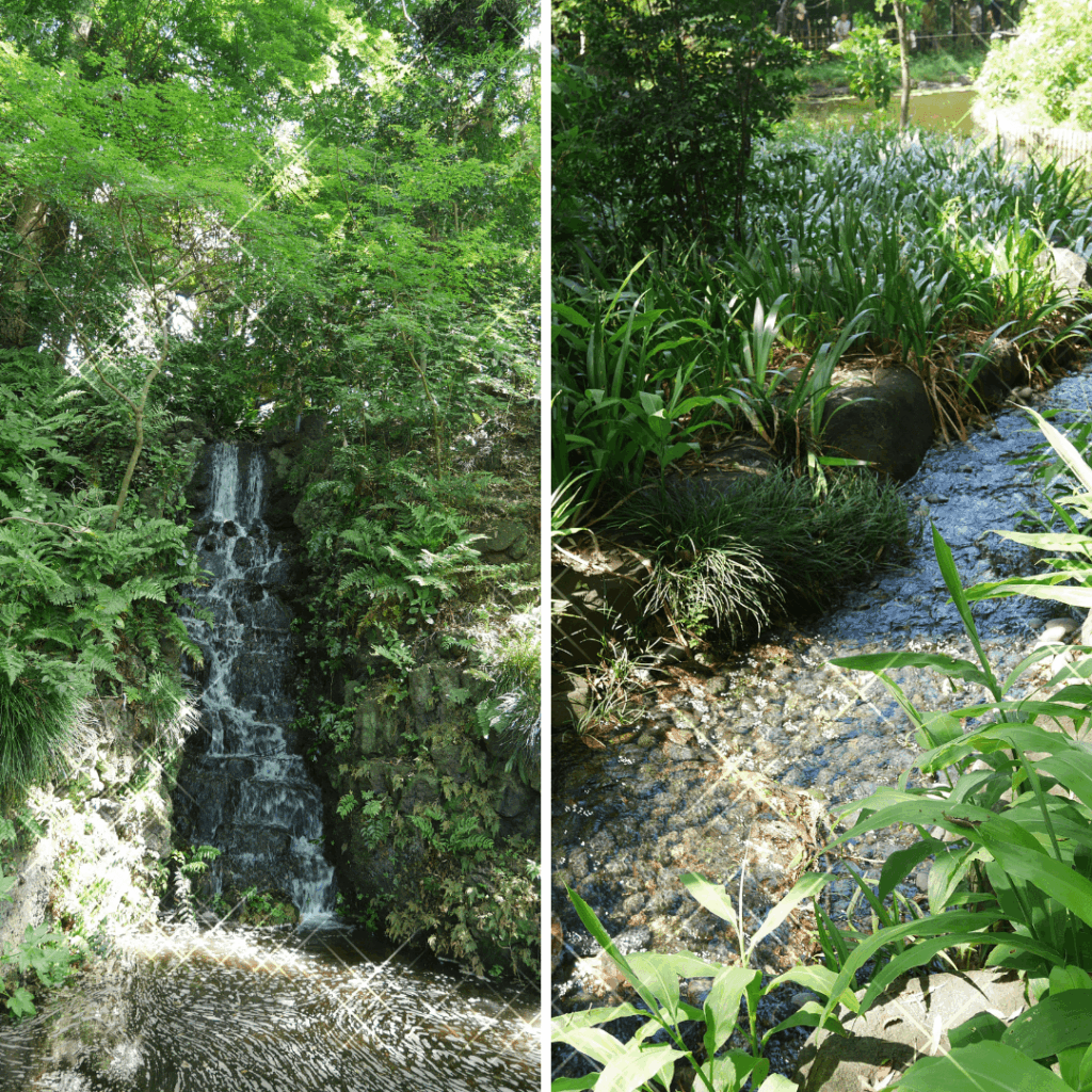 弁天池に流れる水(エフェクト付き笑)