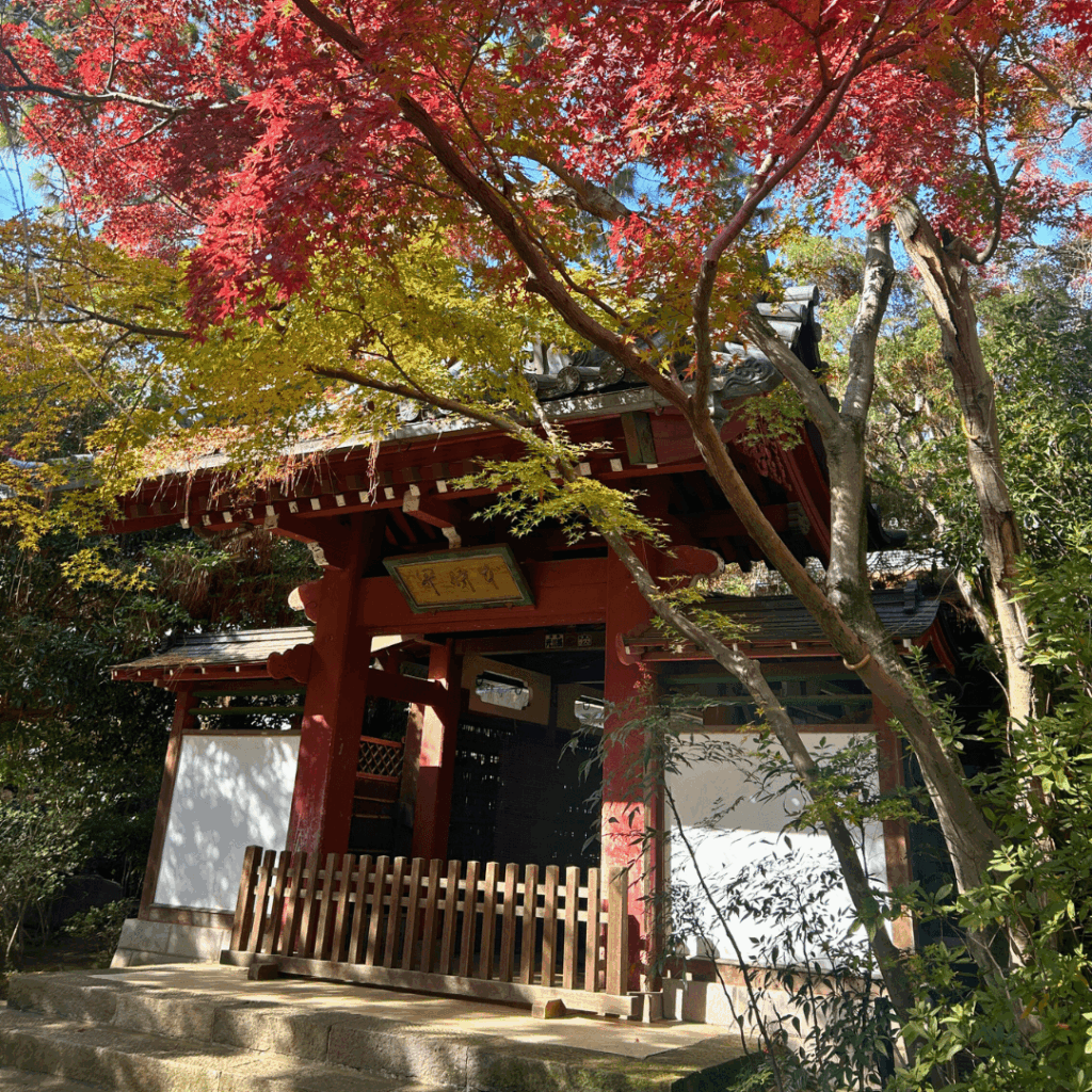 本土寺の開山門と紅葉