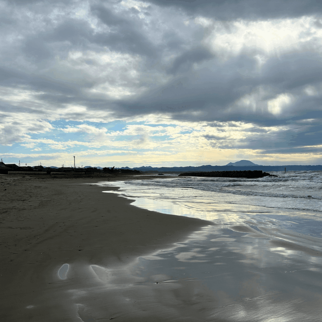 ずっと眺めていたくなります