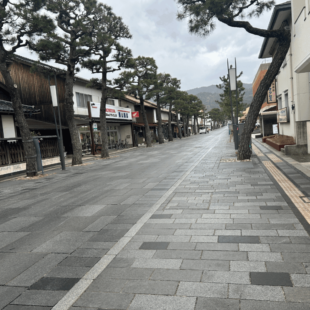 車道と歩道と松の木がなじんでます