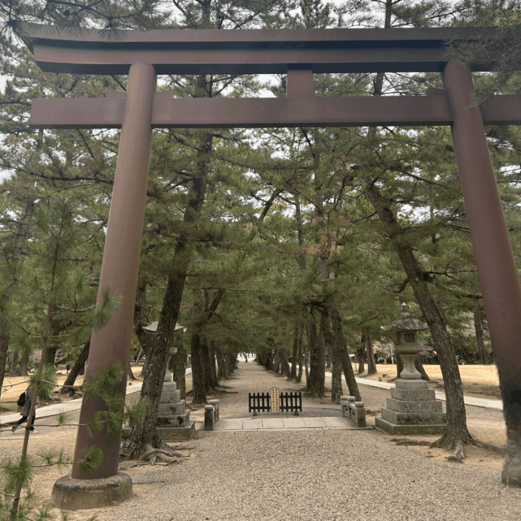三の鳥居(松の参道の鳥居)