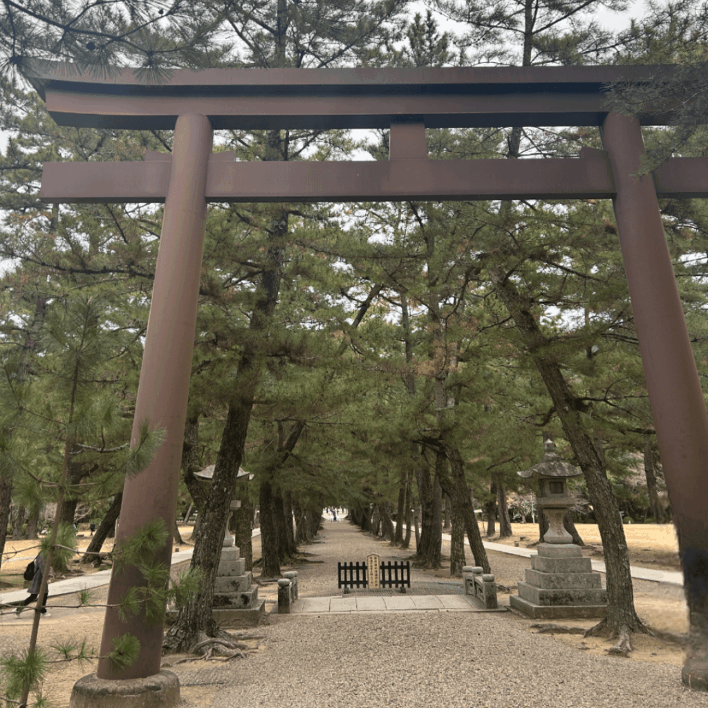 三の鳥居(松の参道の鳥居)