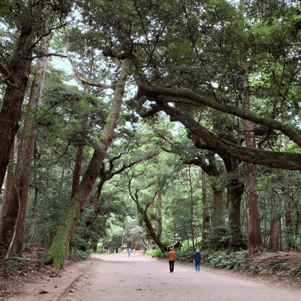 樹叢(じゅそう)