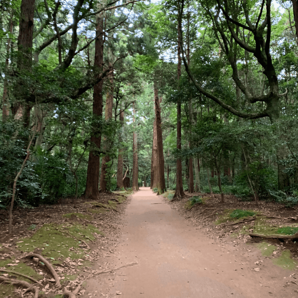 要石への道(たぶん)