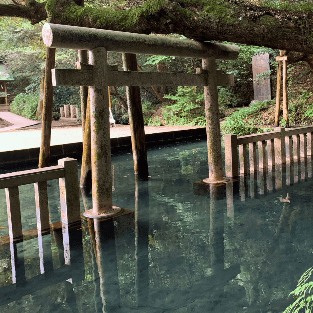 裏手からみた御手洗池