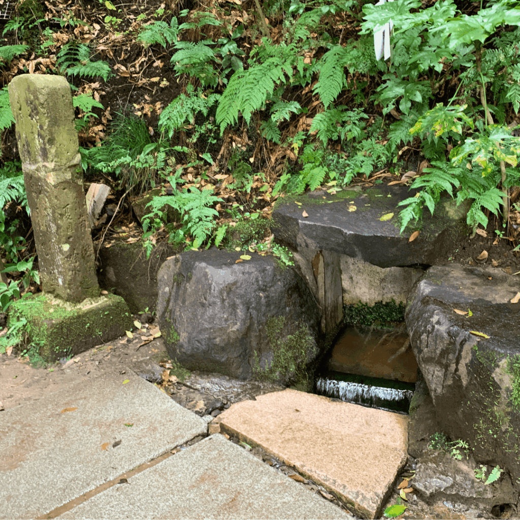 お水取りができます