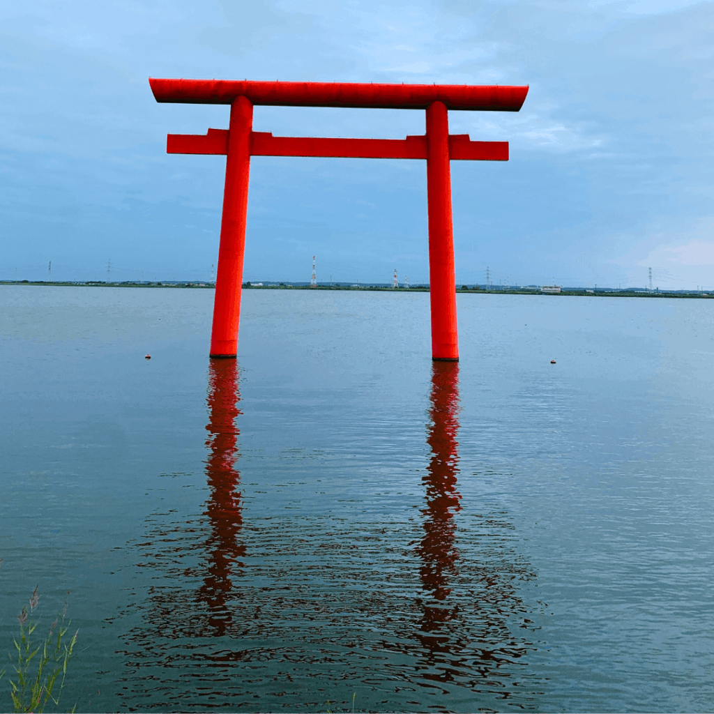 色のコントラストが素敵