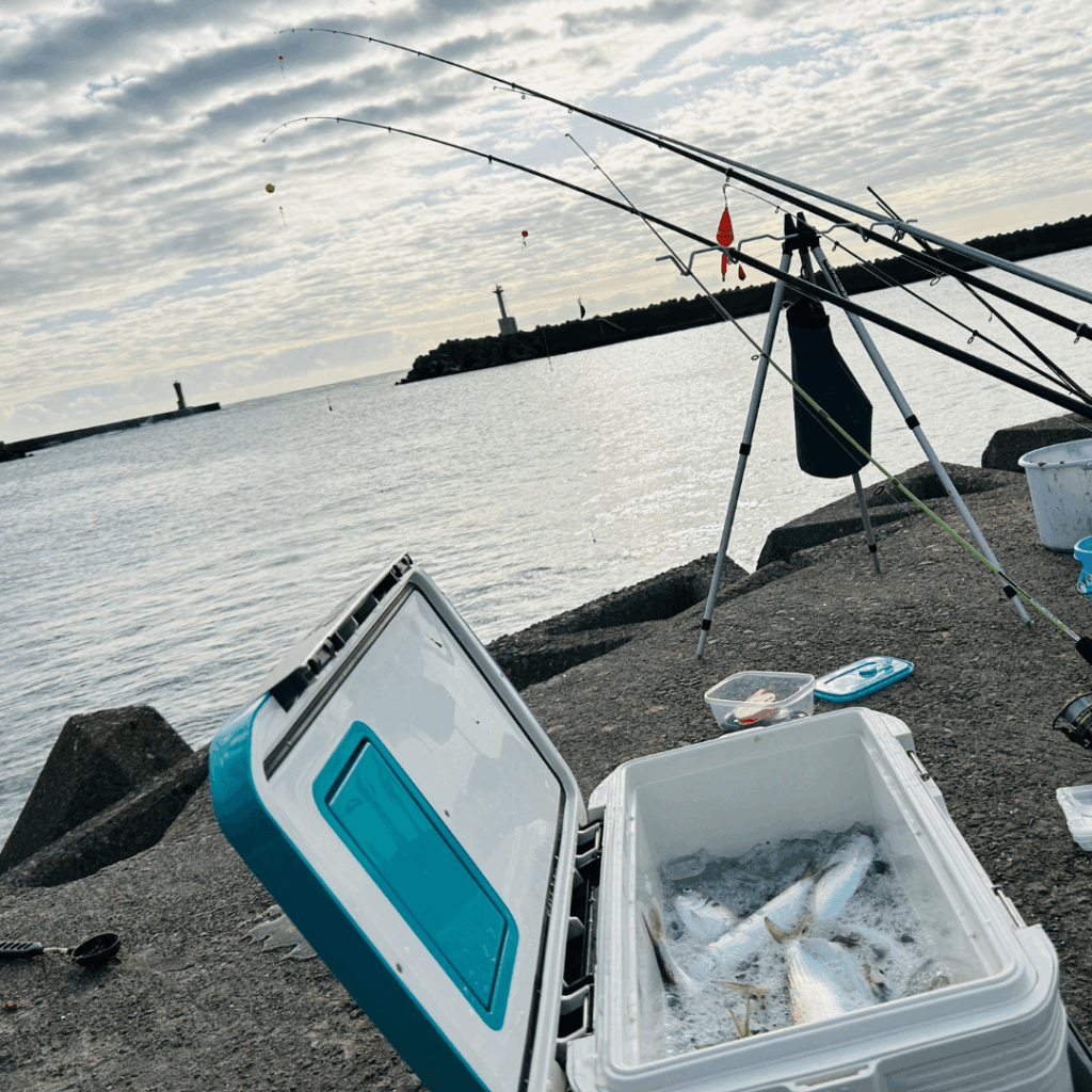 堤防でサビキ釣り