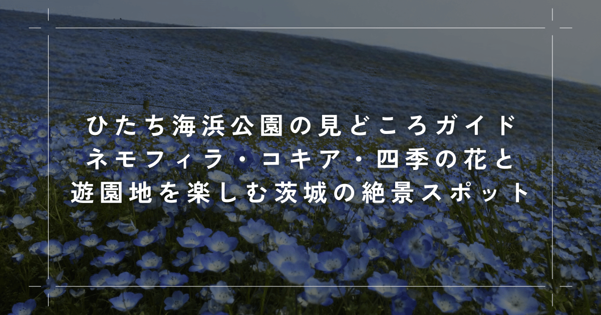 ひたち海浜公園の見どころ完全ガイド｜ネモフィラ・コキア・四季の花と遊園地を楽しむ茨城の絶景スポット