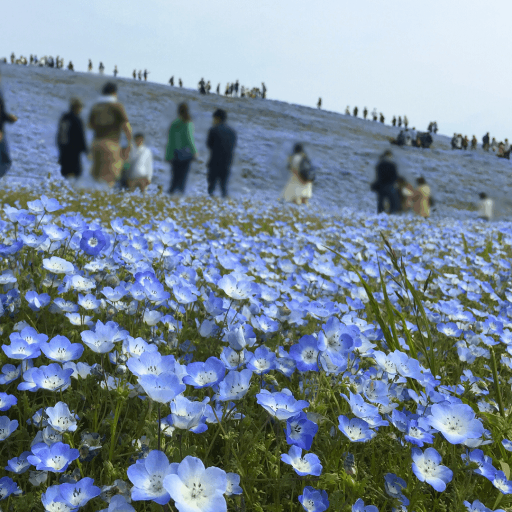 9時前でもたくさんの人です