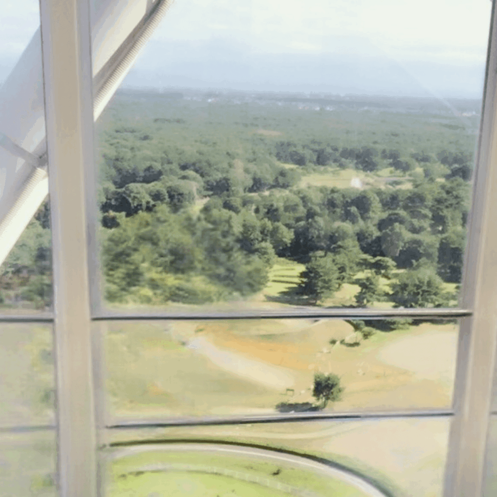 観覧車に乗りました