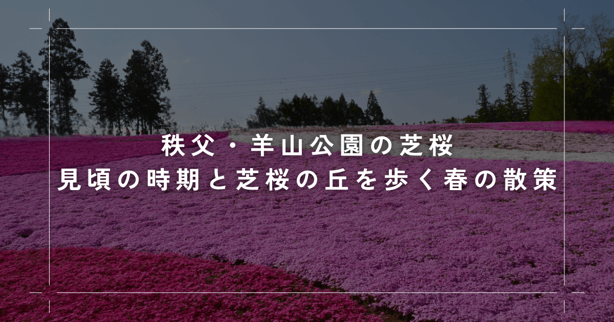 秩父・羊山公園の芝桜｜見頃の時期と芝桜の丘を歩く春の散策