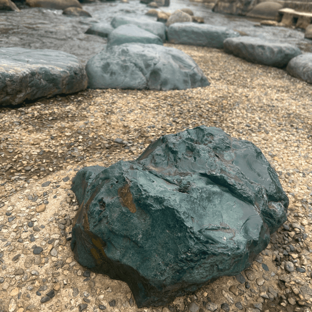 なでなでしました！