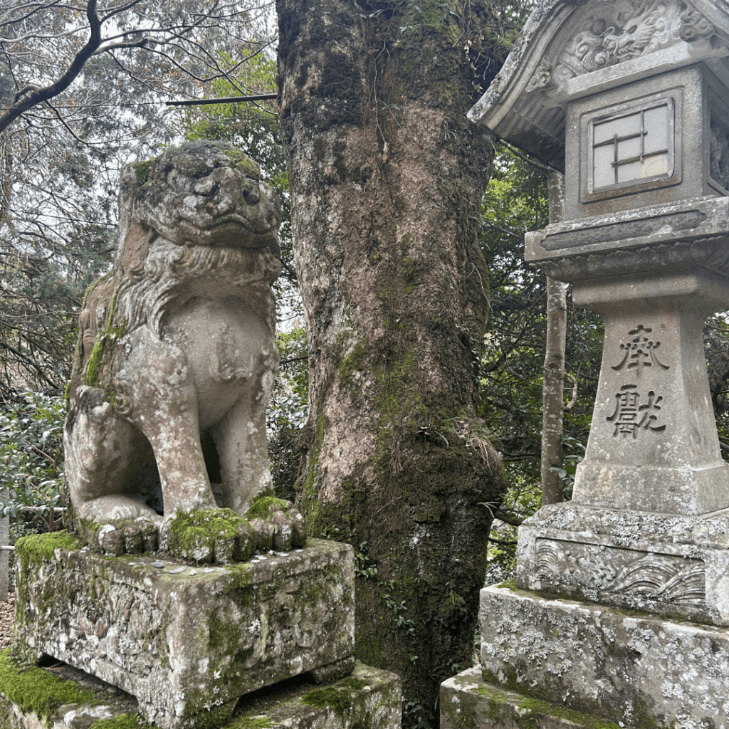境内前の狛犬様