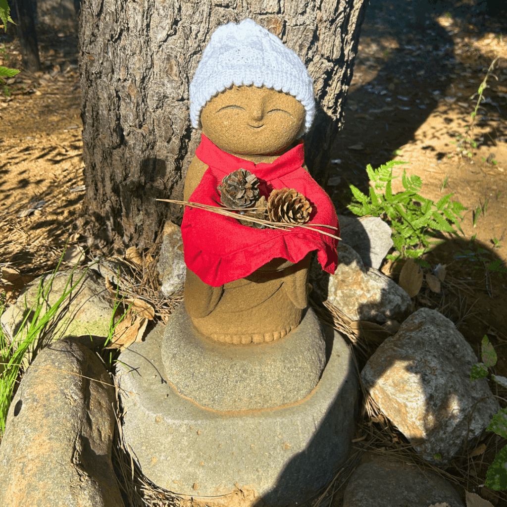 松ぼっくり持ってる