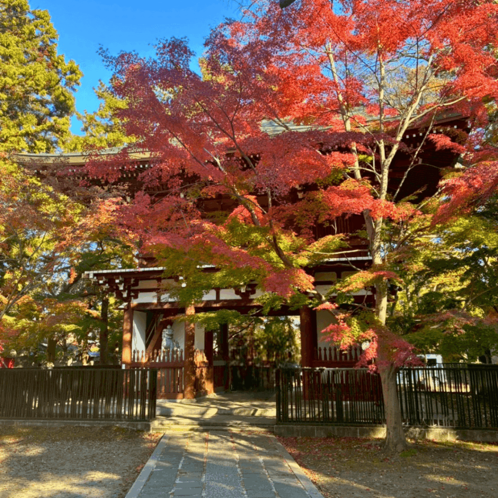 仁王門と紅葉