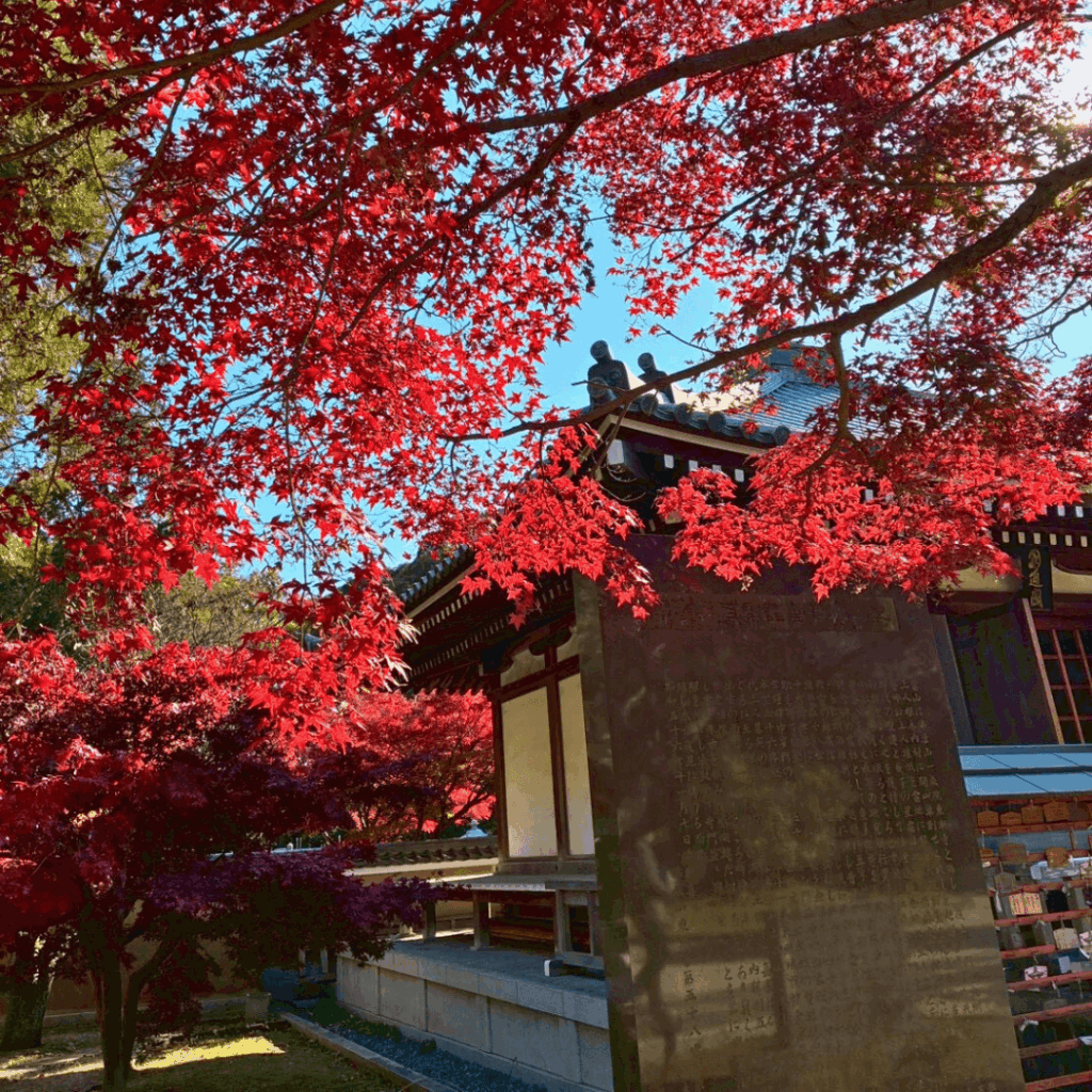 東漸寺の紅葉