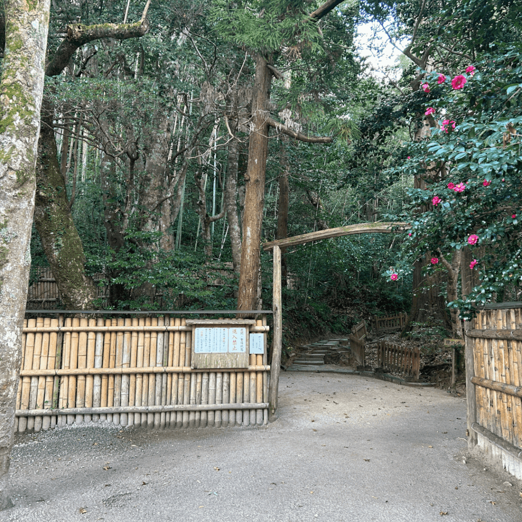 佐久佐女の森の入口