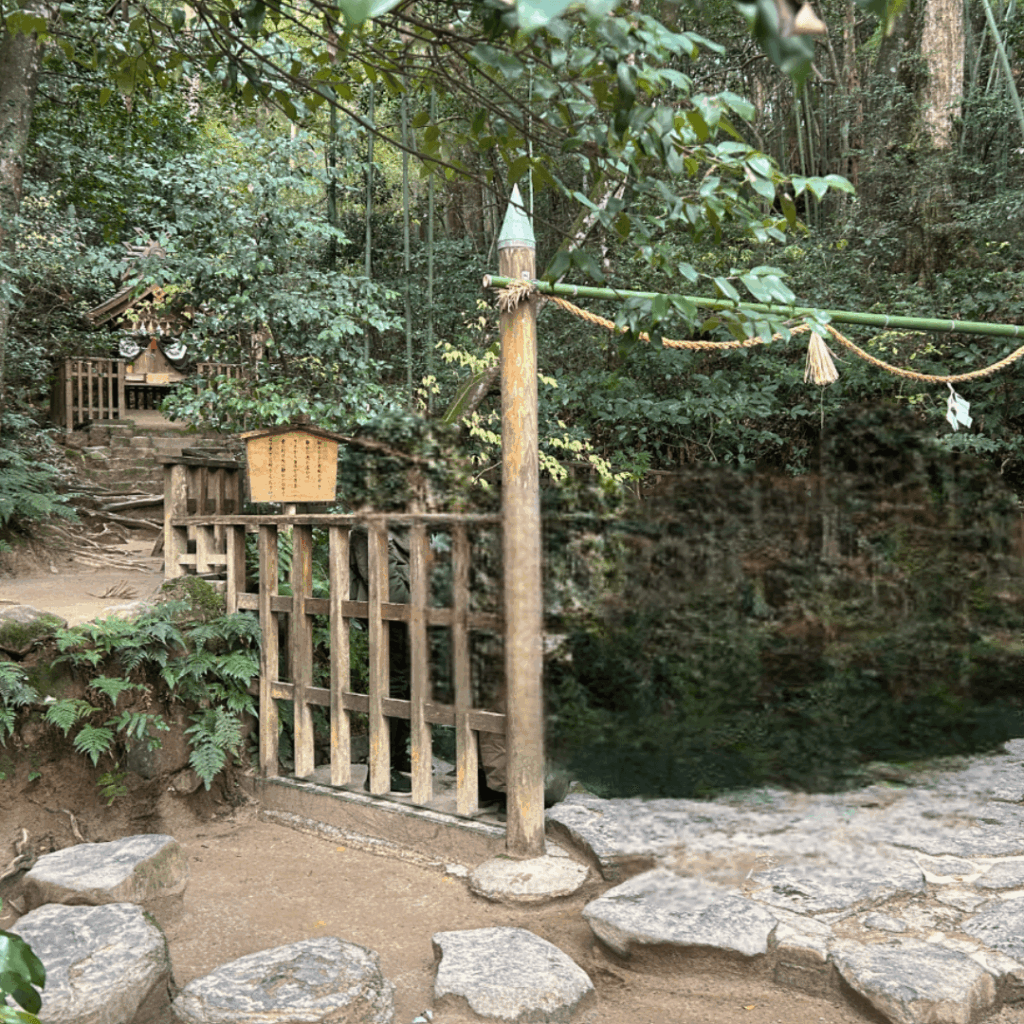 鏡の池がとてもきれいでした